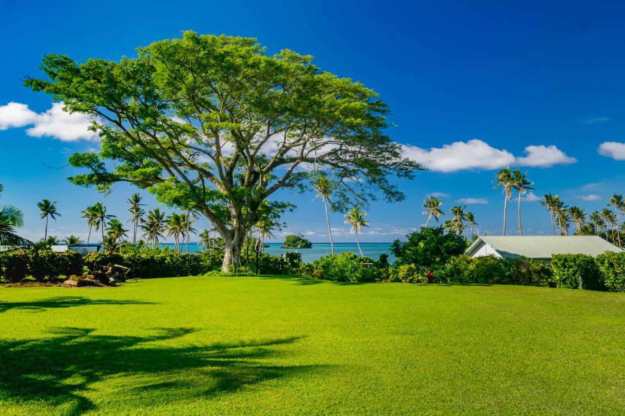 Raintree Gardens - 1 Acre, Ocean Views, Steps From Beach Matei Zewnętrze zdjęcie